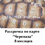 Черепаха2.jpg